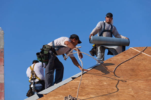 Best Roof Restoration Services  in Winnebago, IL