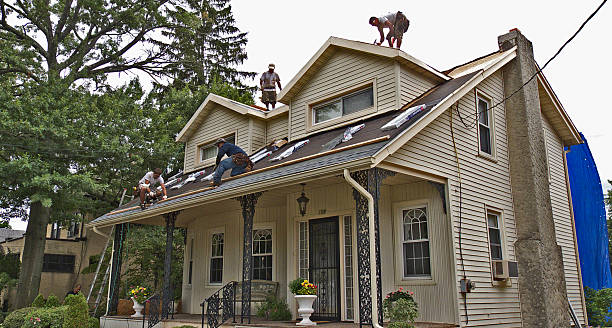 Best Roof Repair Services  in Winnebago, IL