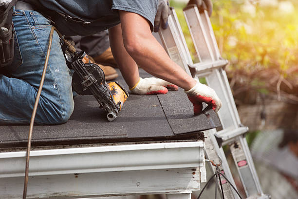 Best Roof Leak Repair  in Winnebago, IL