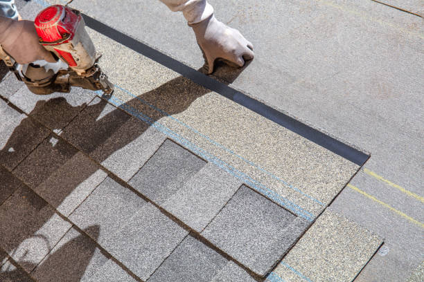 Best Shingle Roofing Installation  in Winnebago, IL